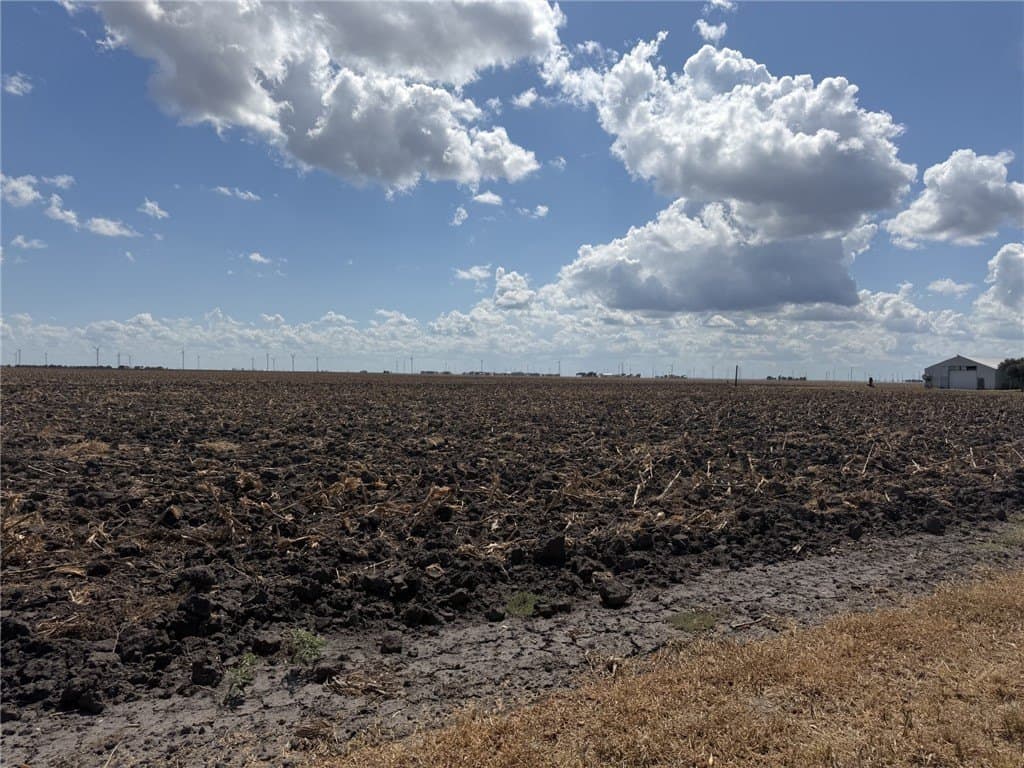 202.61 acres in San Patricio County - photo 3