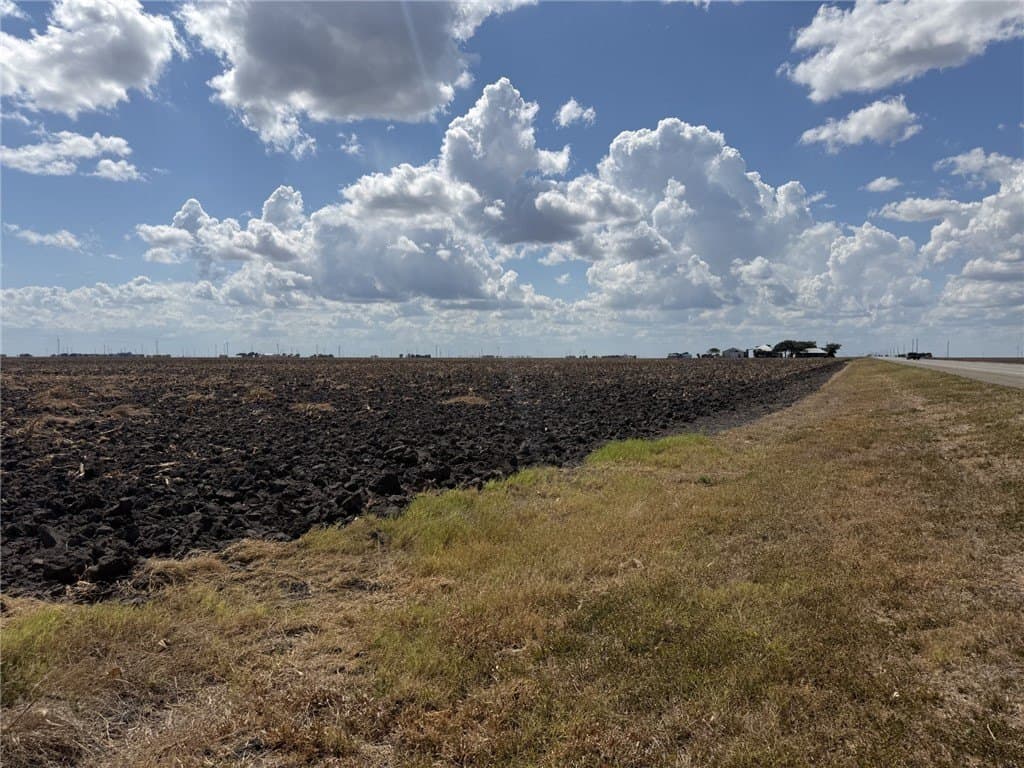 202.61 acres in San Patricio County - photo 9