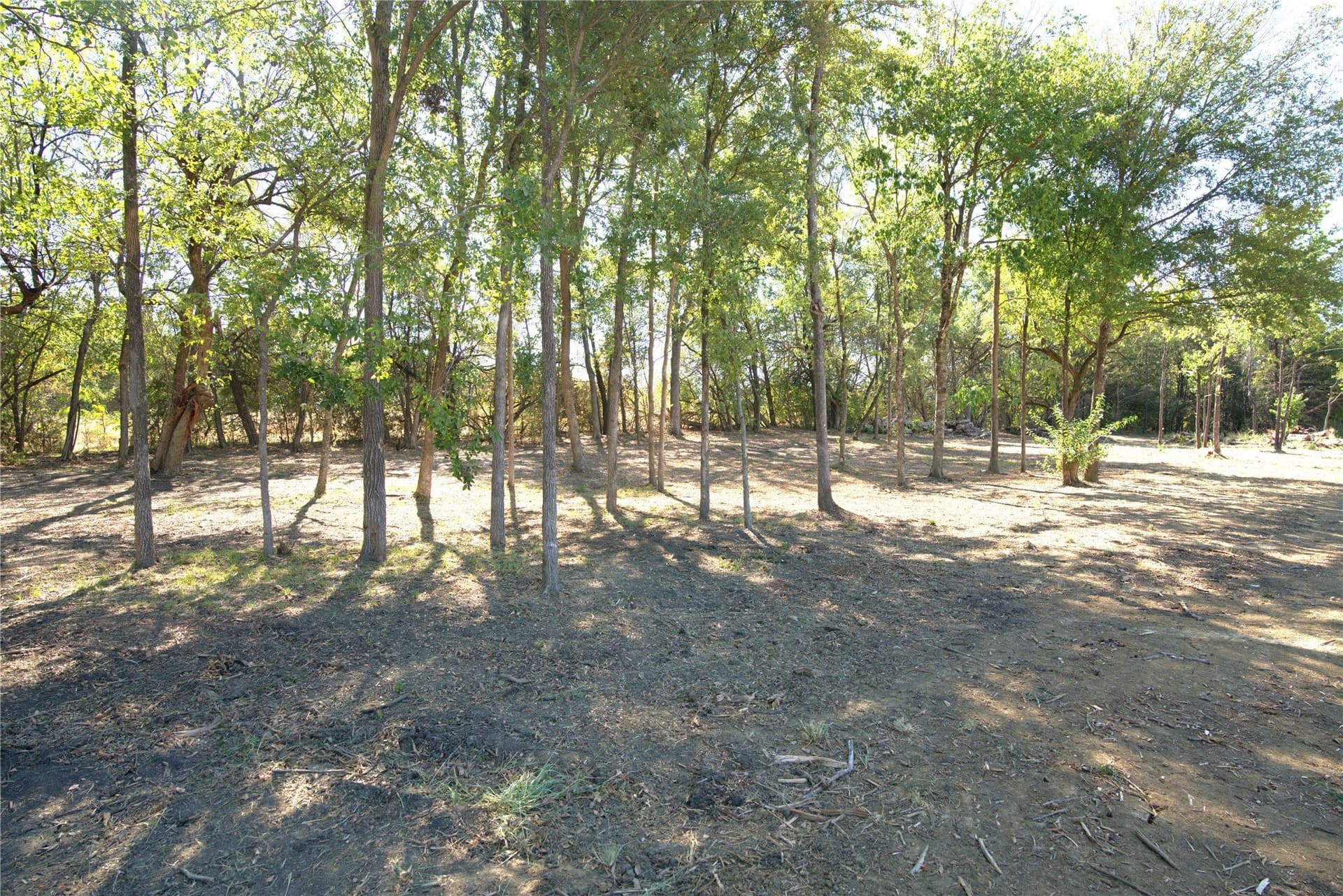 0.5 acres in Lamar County - photo 7
