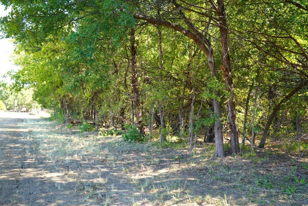0.5 acres in Lamar County - photo 3