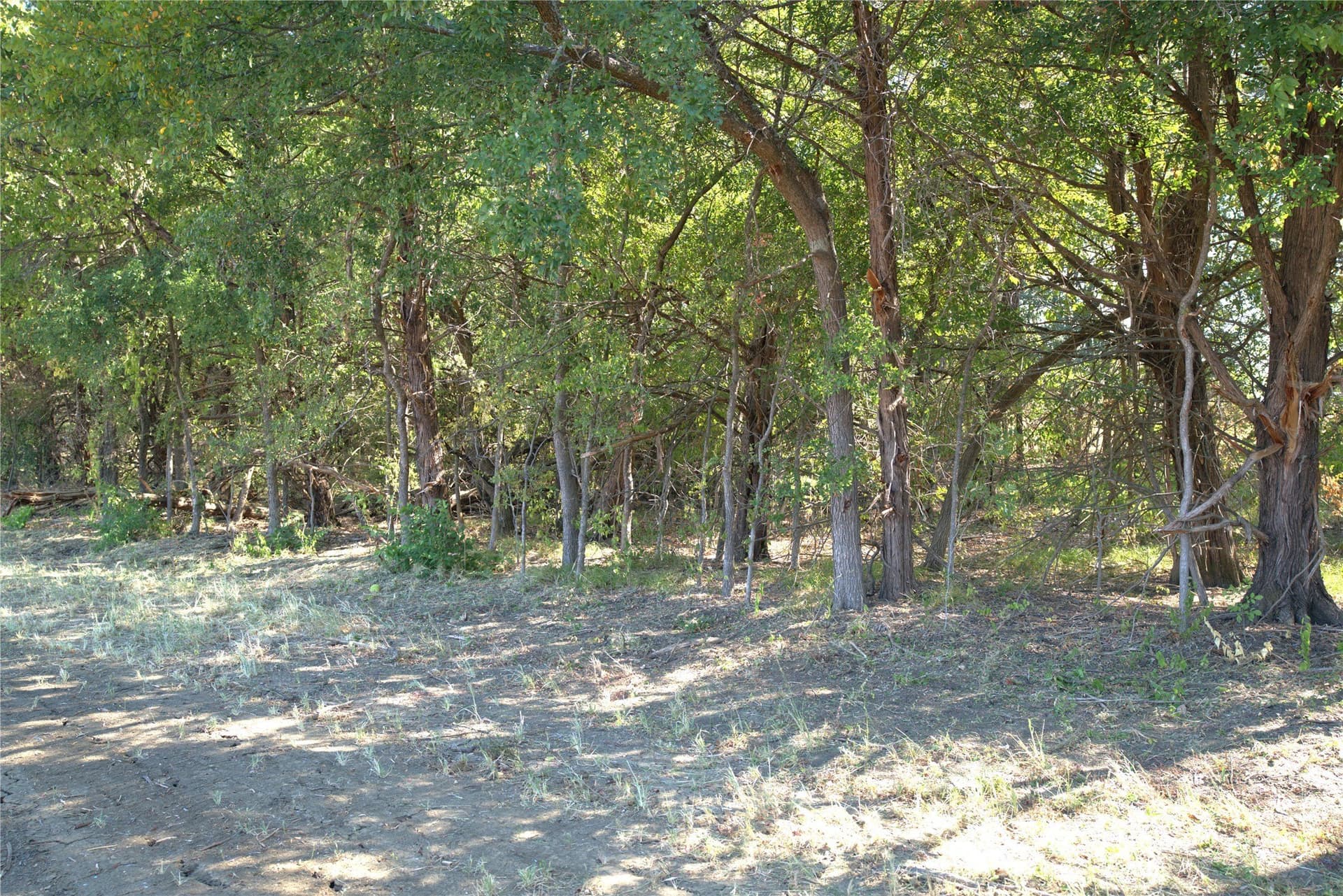 0.5 acres in Lamar County - photo 2