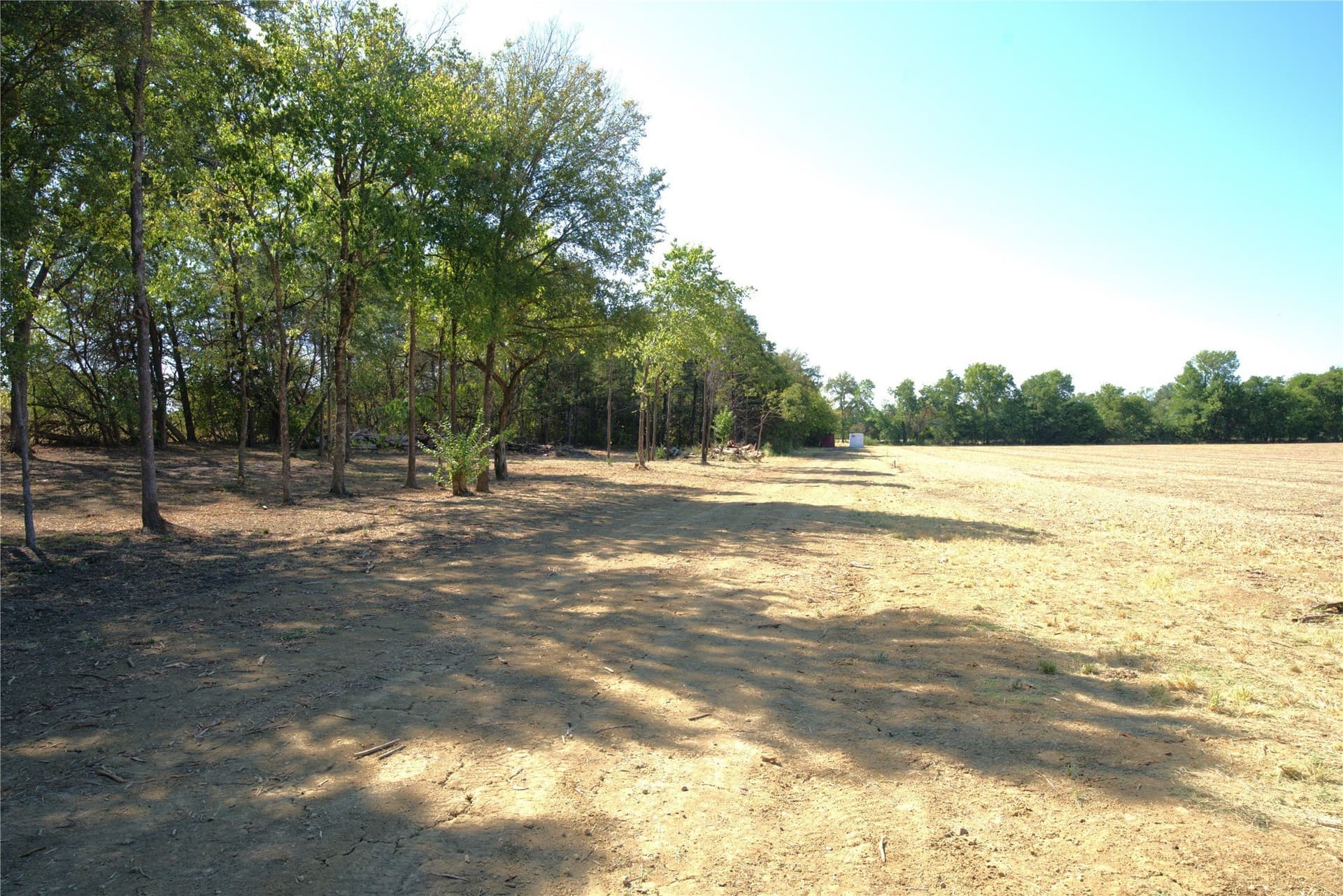 0.5 acres in Lamar County - photo 11