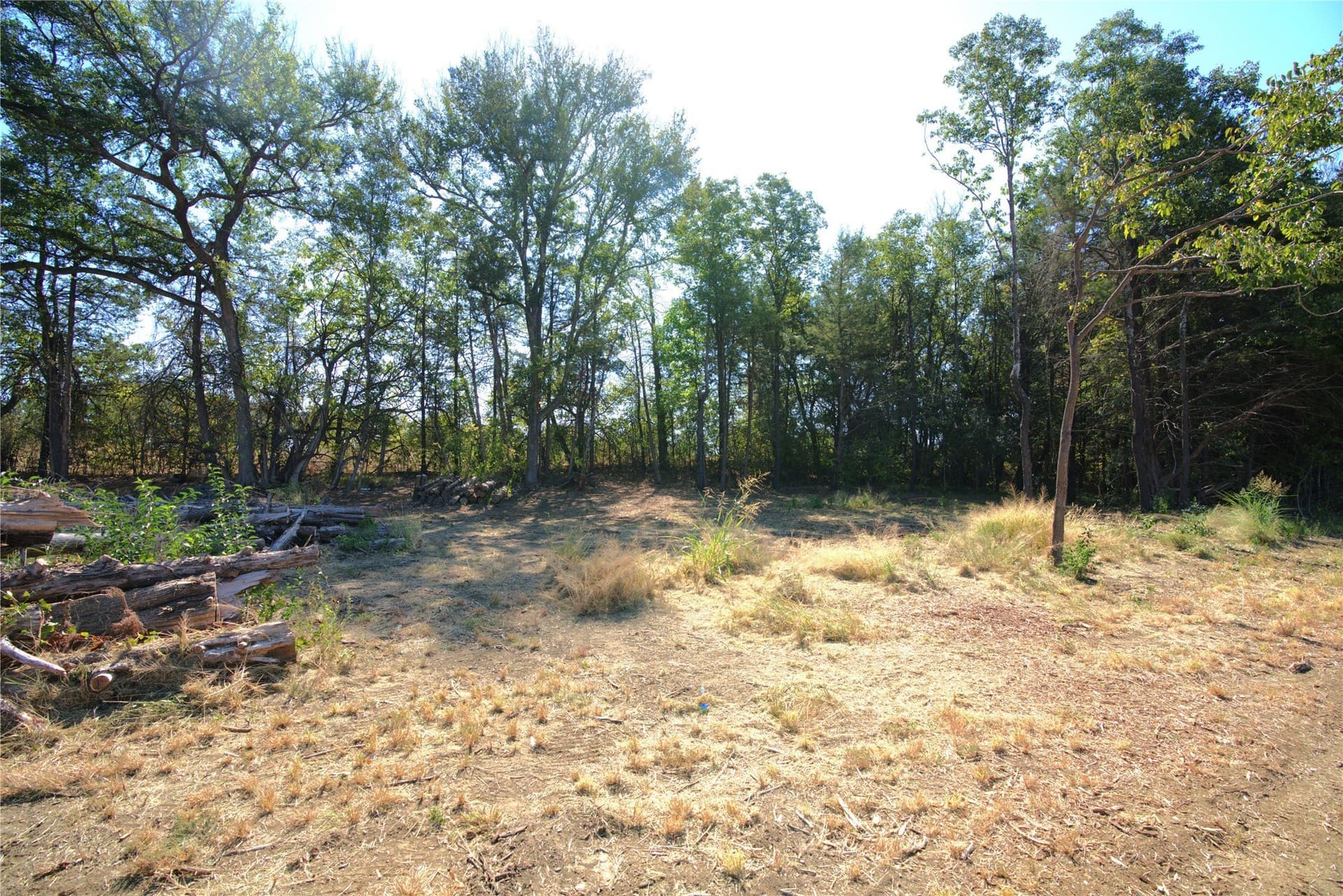 0.5 acres in Lamar County - photo 5