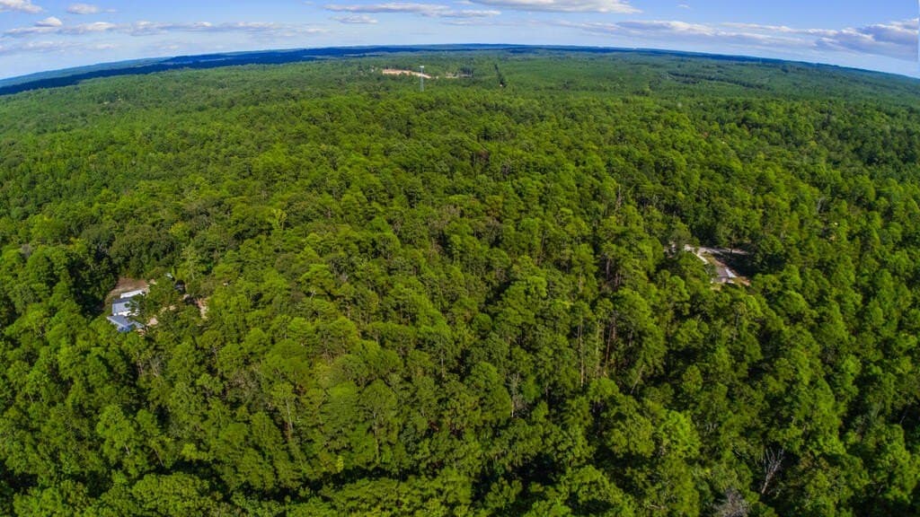 0.25 acres in Texas County - photo 4