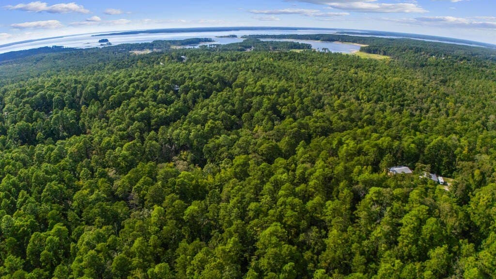 0.25 acres in Texas County - photo 2