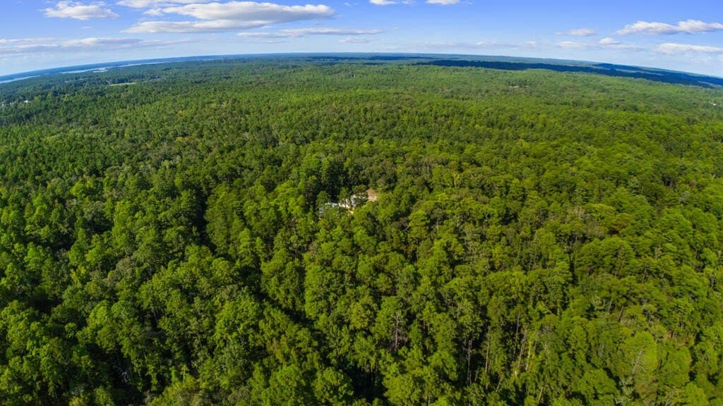 0.25 acres in Texas County - photo 3