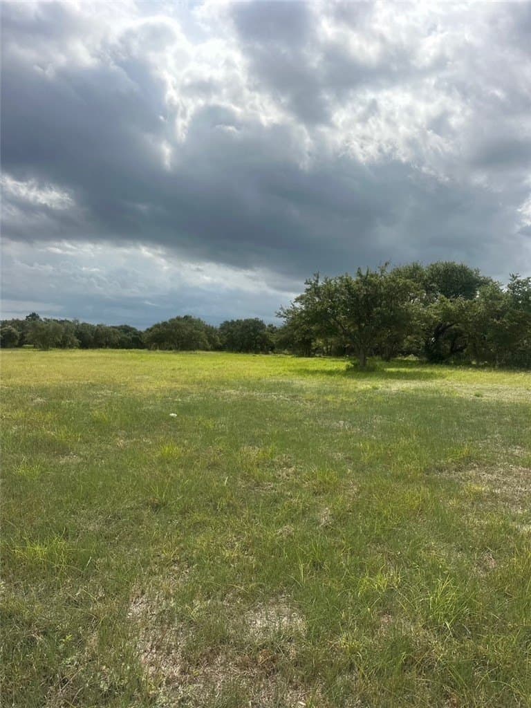 10.72 acres in San Patricio County gallery image 2