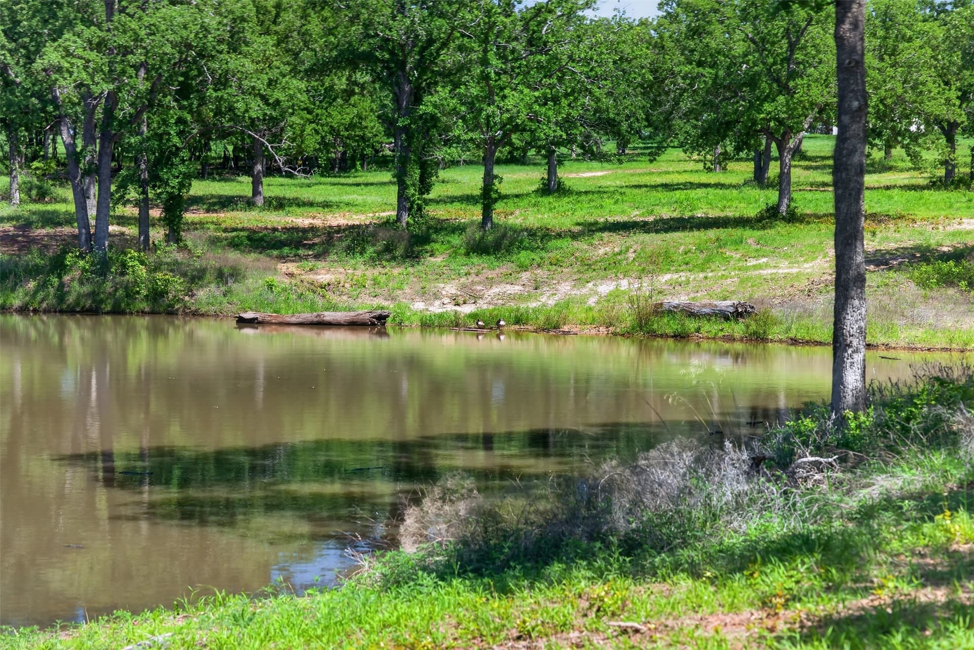 36.98 acres in Wise County - photo 34