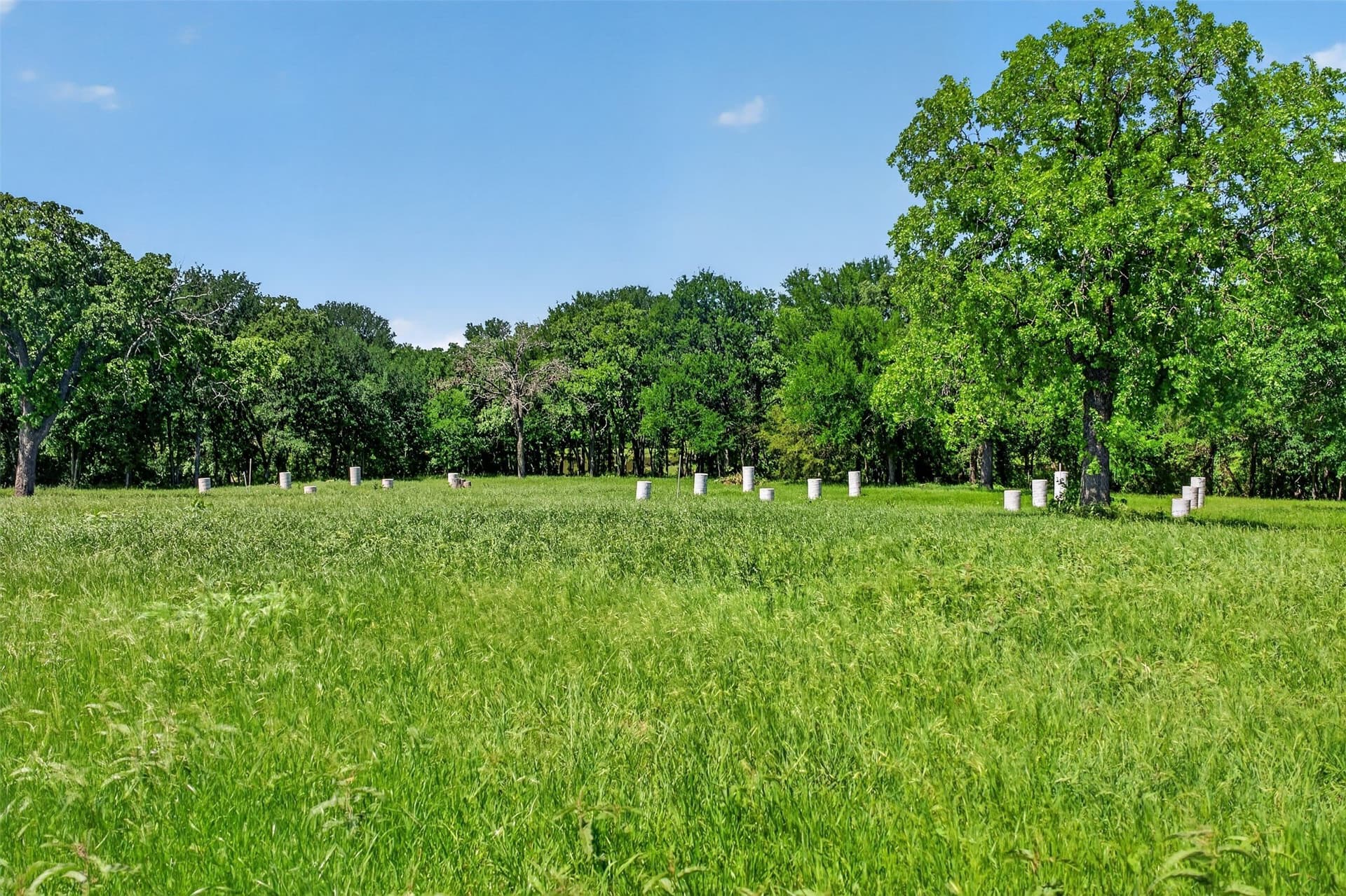36.98 acres in Wise County - photo 37