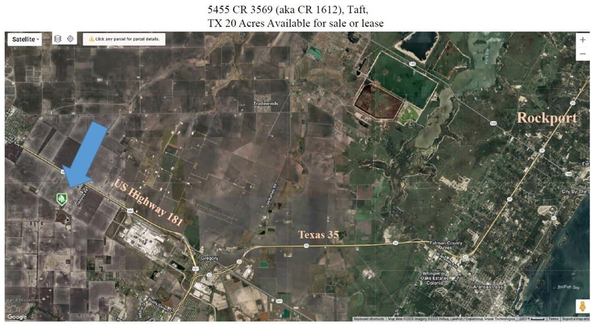 20 acres in San Patricio County gallery image 4