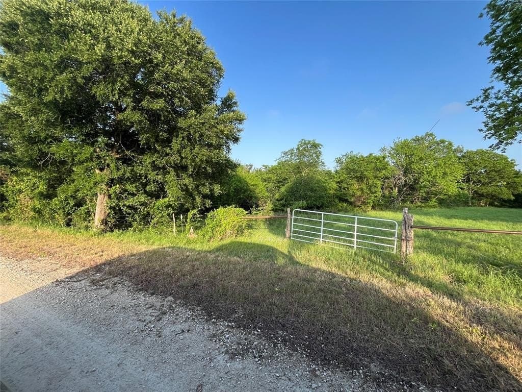 15.35 acres in Limestone County gallery image 4