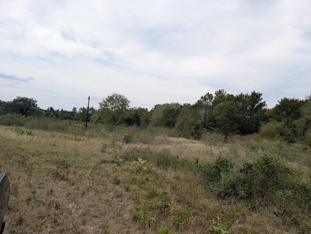 40.22 acres in FREESTONE County - photo 7