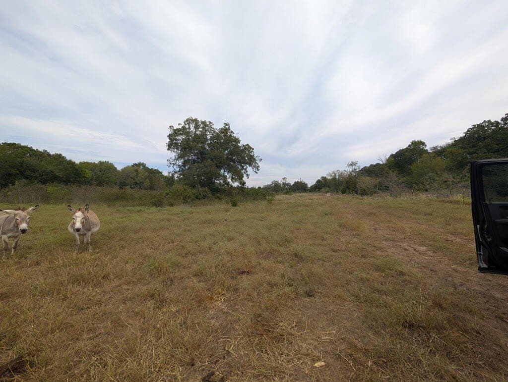 40.22 acres in FREESTONE County - photo 5