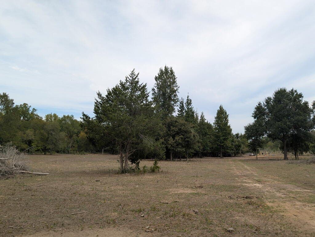 40.22 acres in FREESTONE County - photo 9