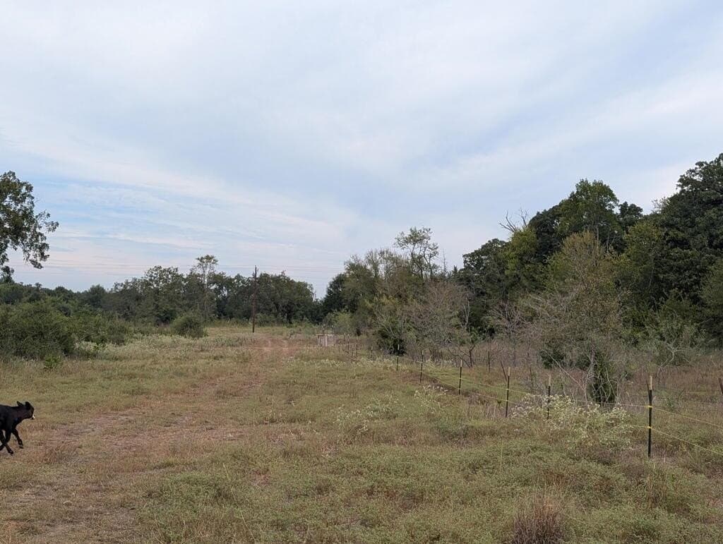 40.22 acres in FREESTONE County - photo 2