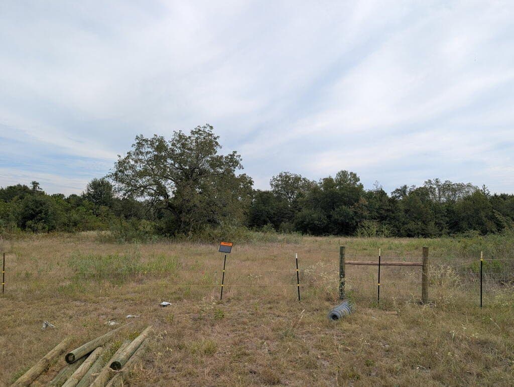 40.22 acres in FREESTONE County - photo 4
