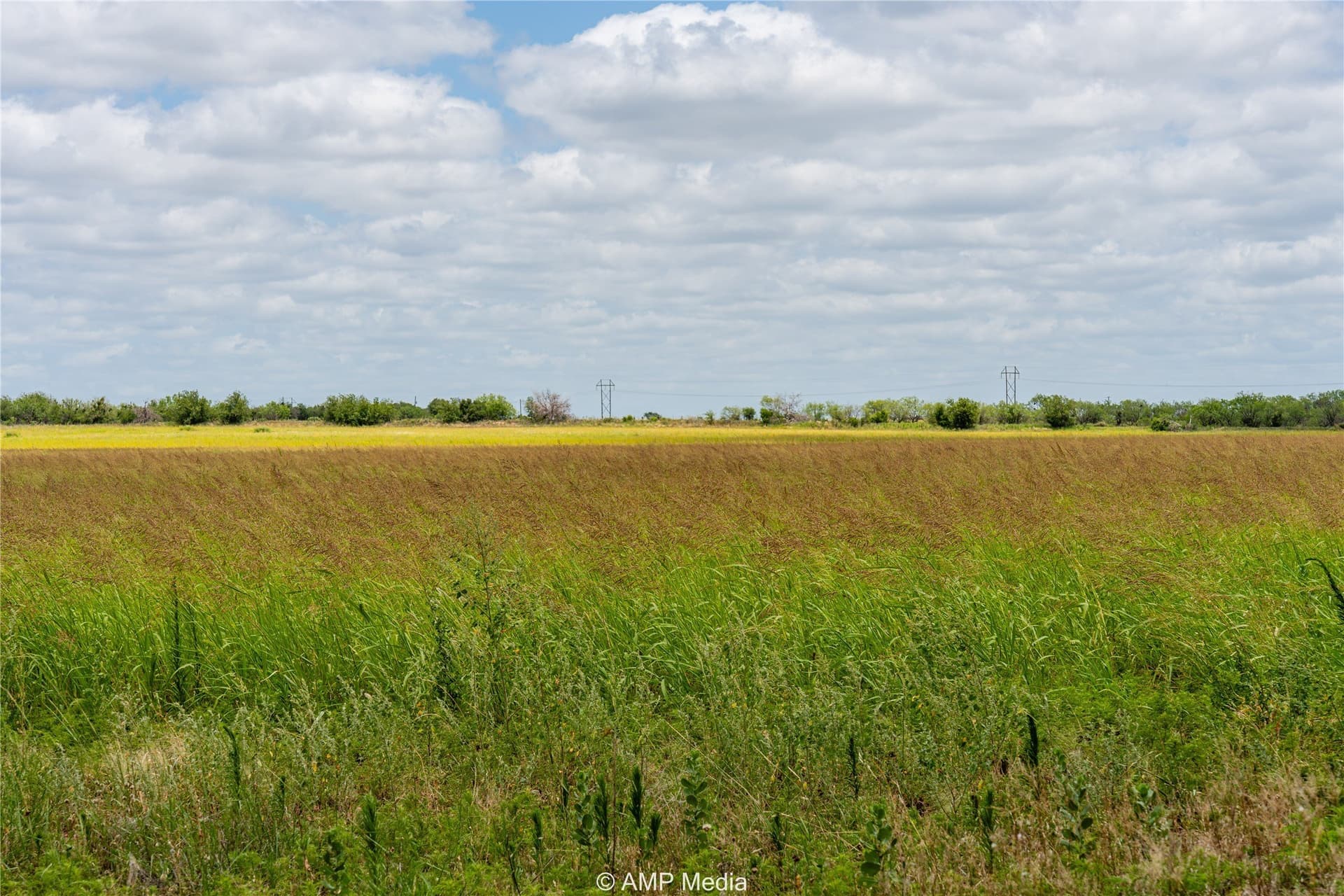 12 acres in Jones County - photo 2
