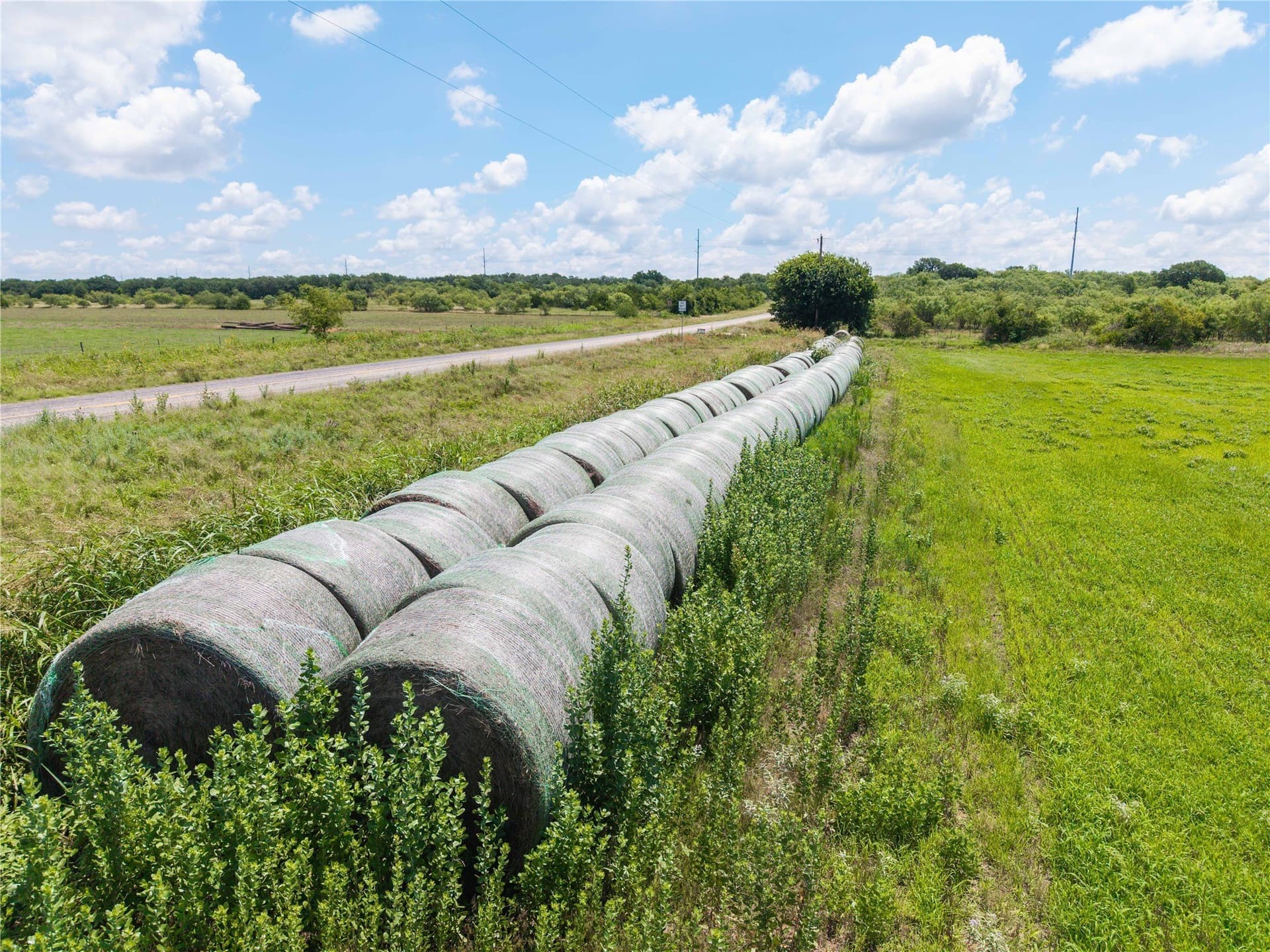 49.38 acres in Brown County gallery image 4