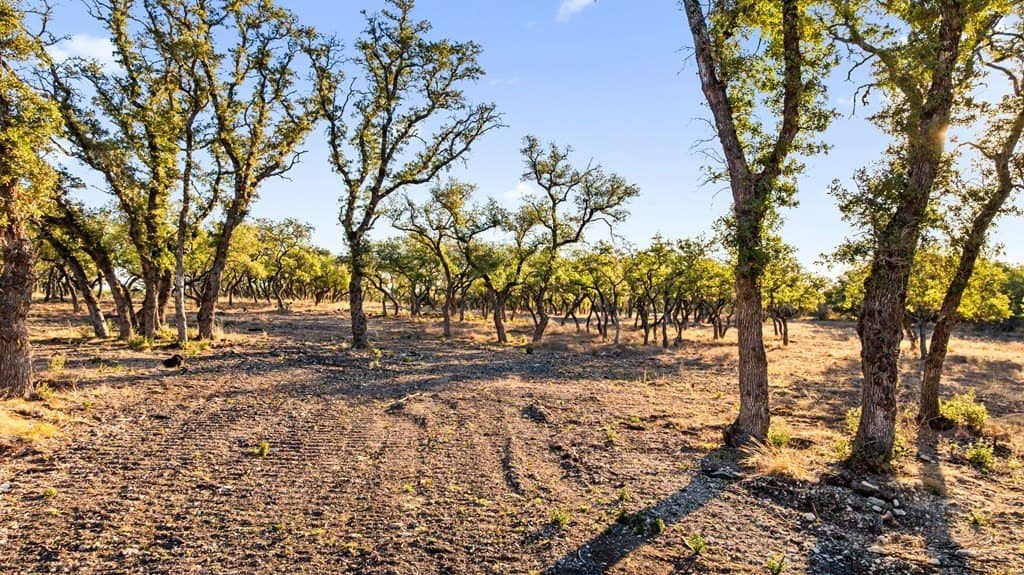 10 acres in Blanco County gallery image 4