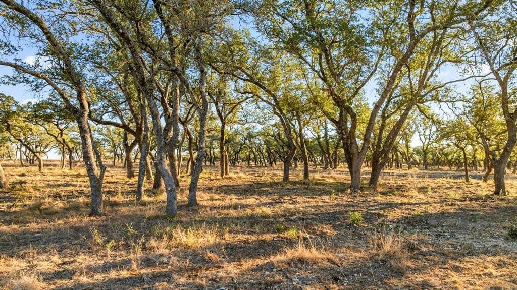 10 acres in Blanco County