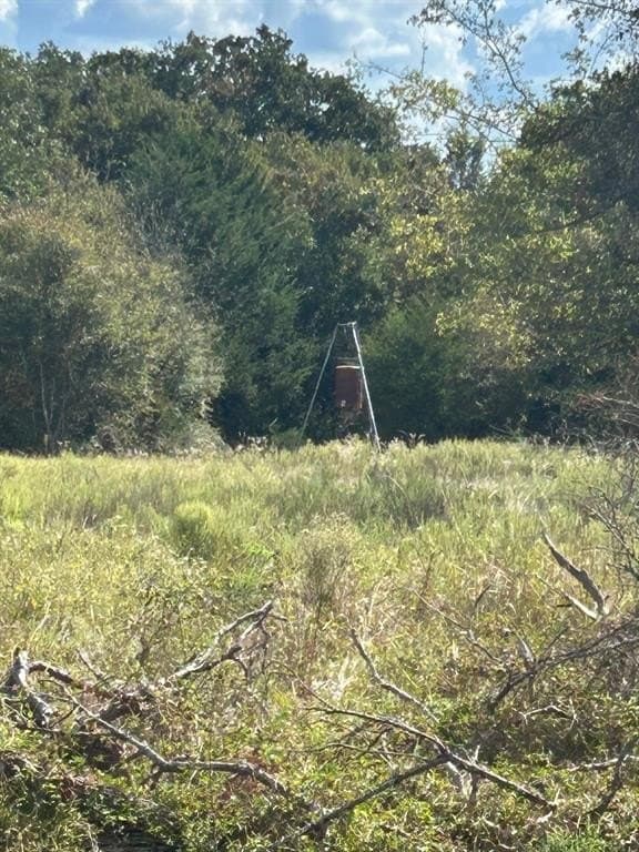 82 acres in Robertson County