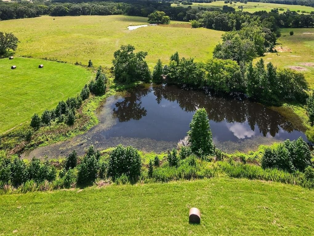 17 acres in Van Zandt County gallery image 4