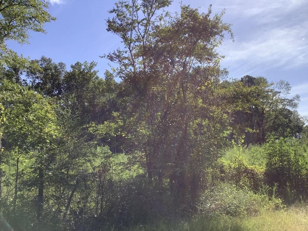 28.59 acres in Texas County - photo 5
