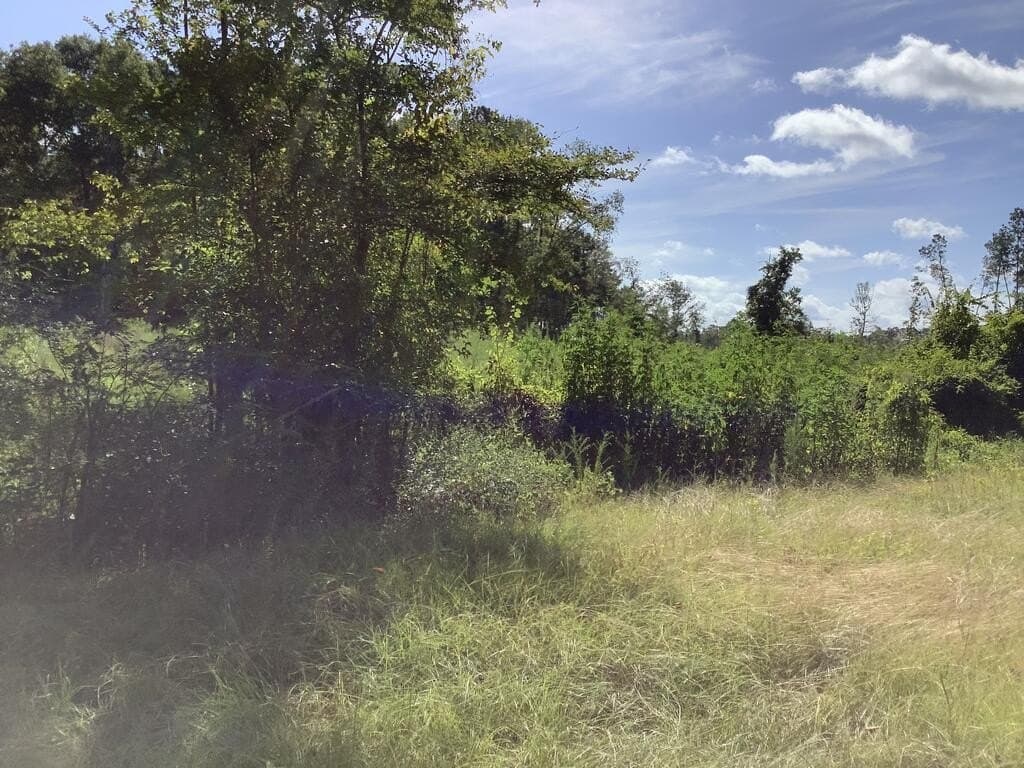 28.59 acres in Texas County - photo 4