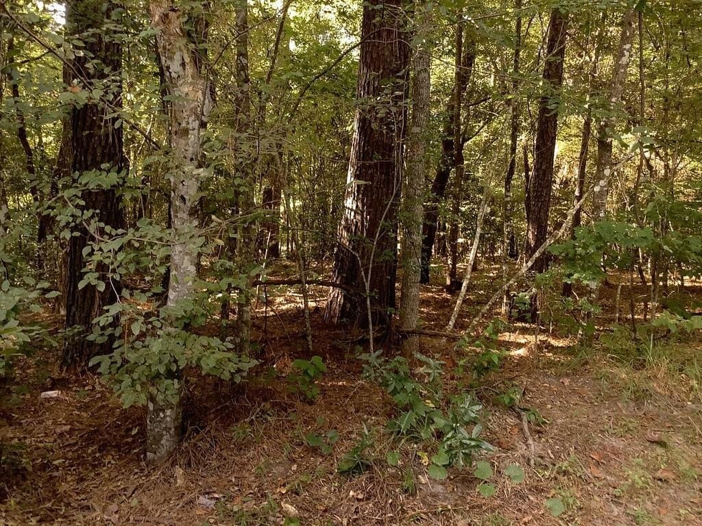 28.59 acres in Texas County - photo 2