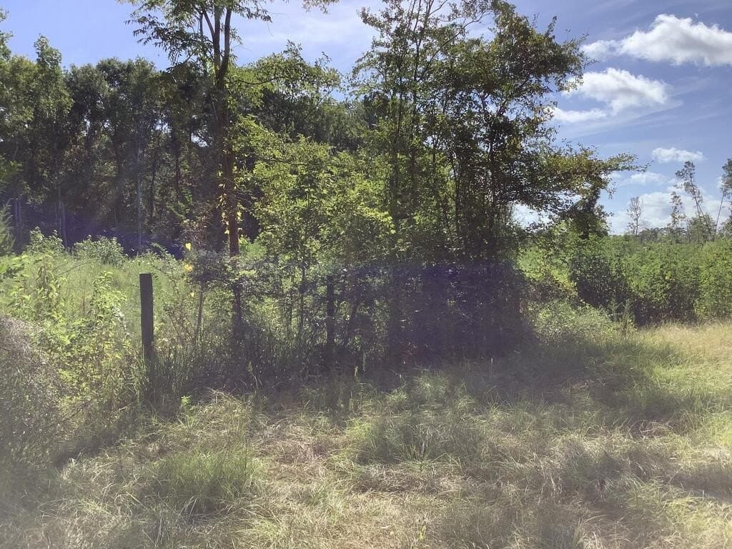 28.59 acres in Texas County - photo 6