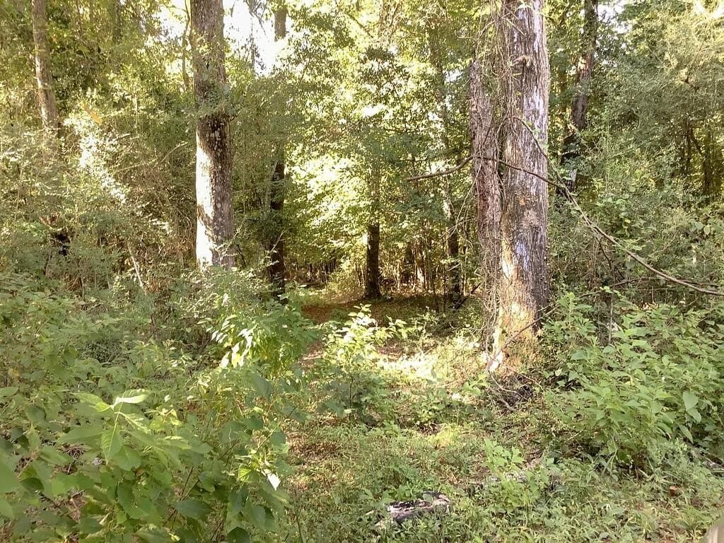 28.59 acres in Texas County - photo 3
