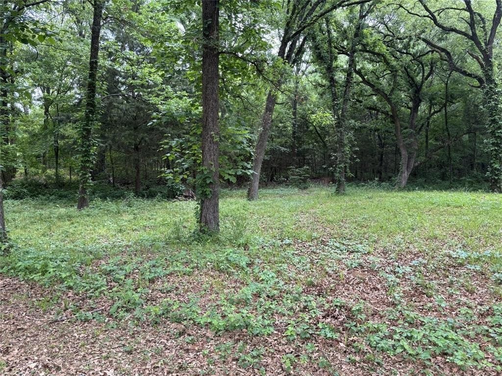 0.31 acres in Hunt County