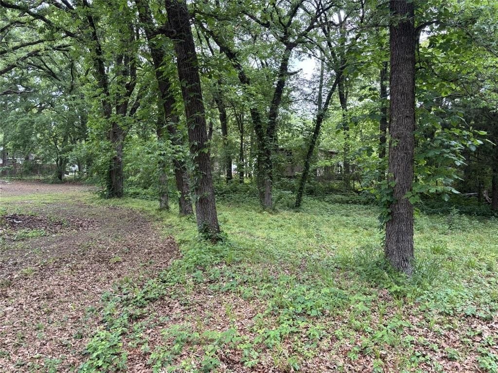 0.31 acres in Hunt County gallery image 2