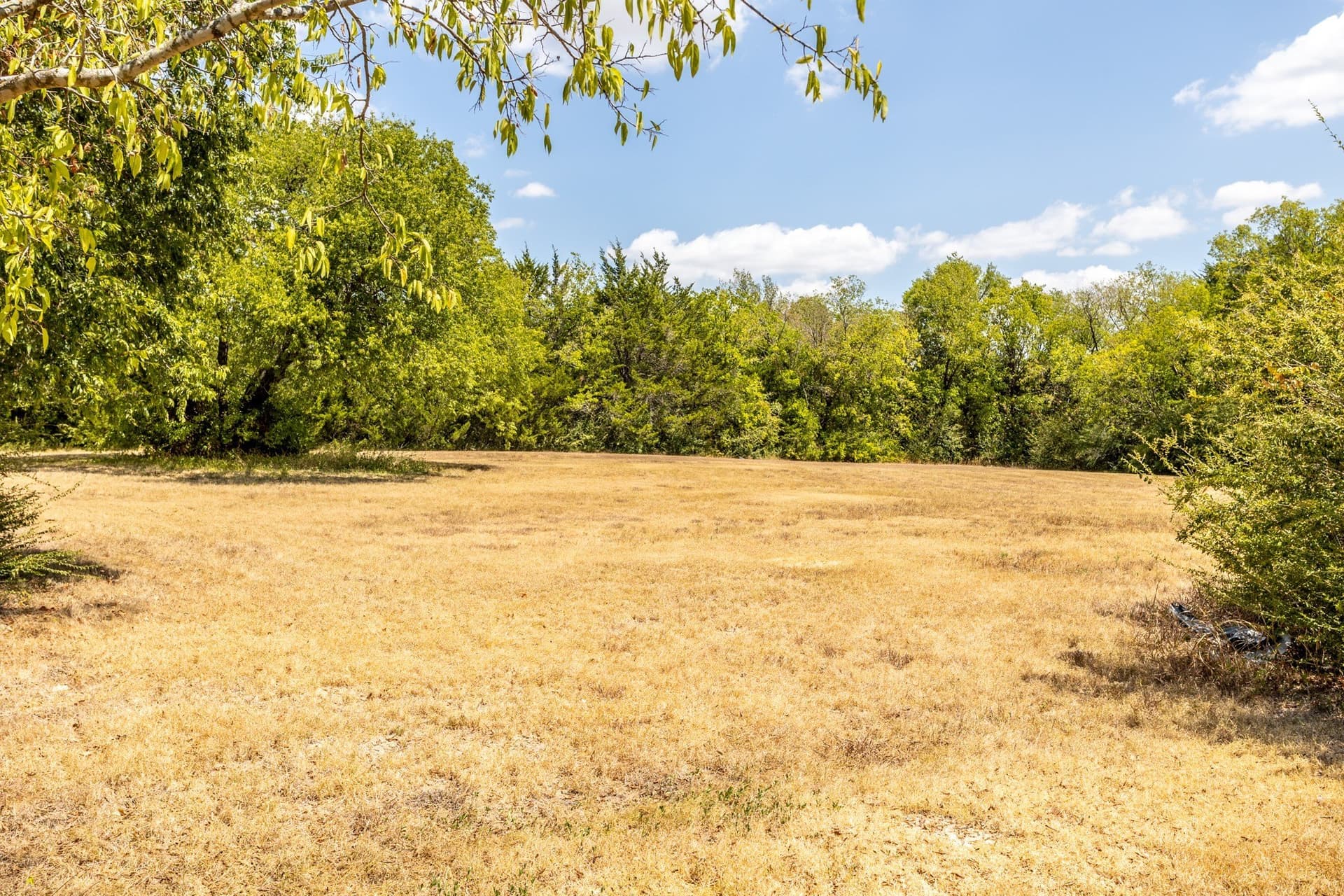 22.41 acres in Dallas County - photo 10
