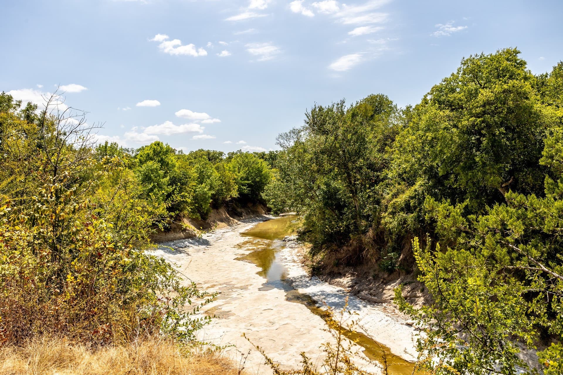 22.41 acres in Dallas County - photo 8