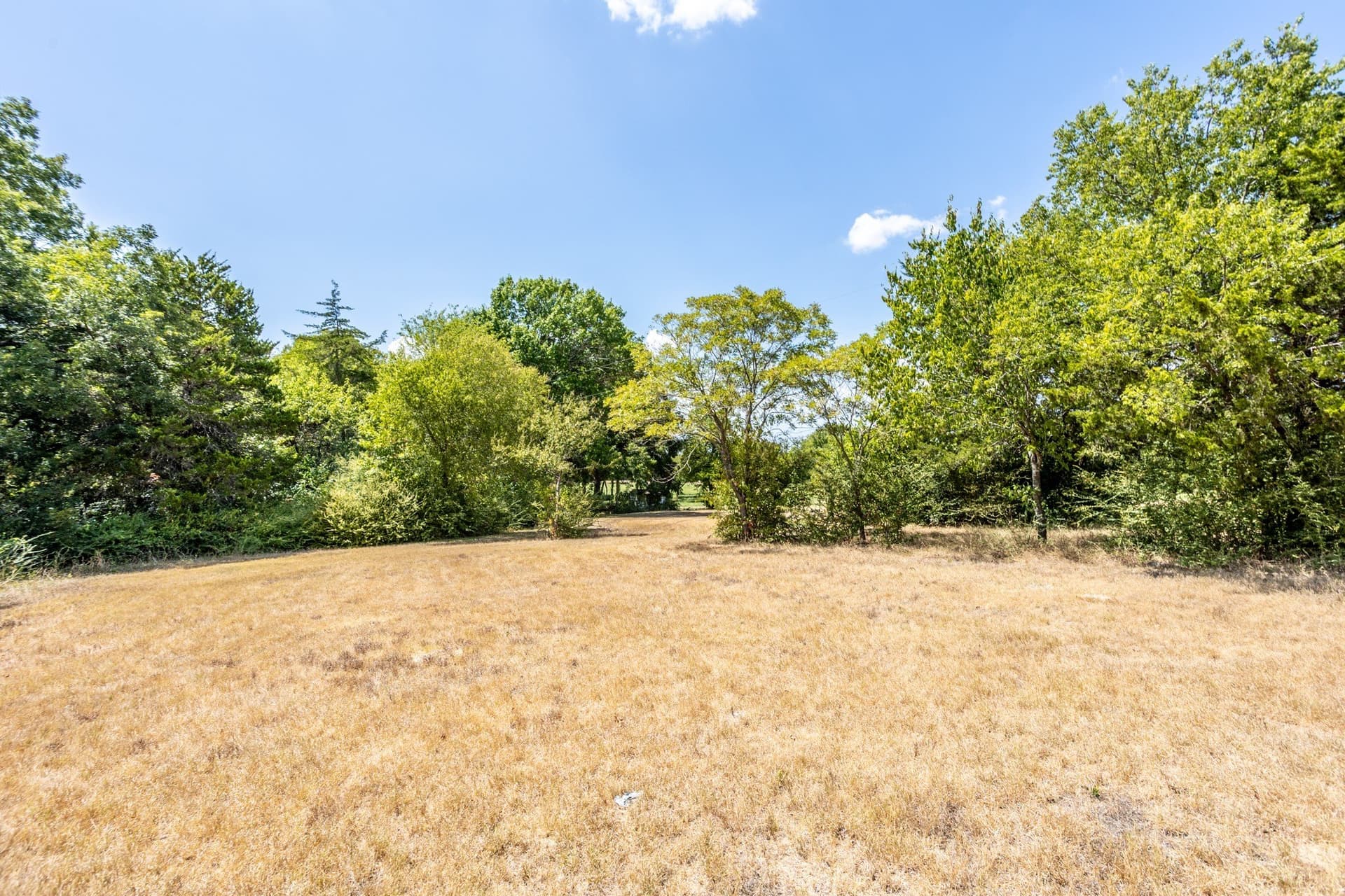 22.41 acres in Dallas County - photo 38