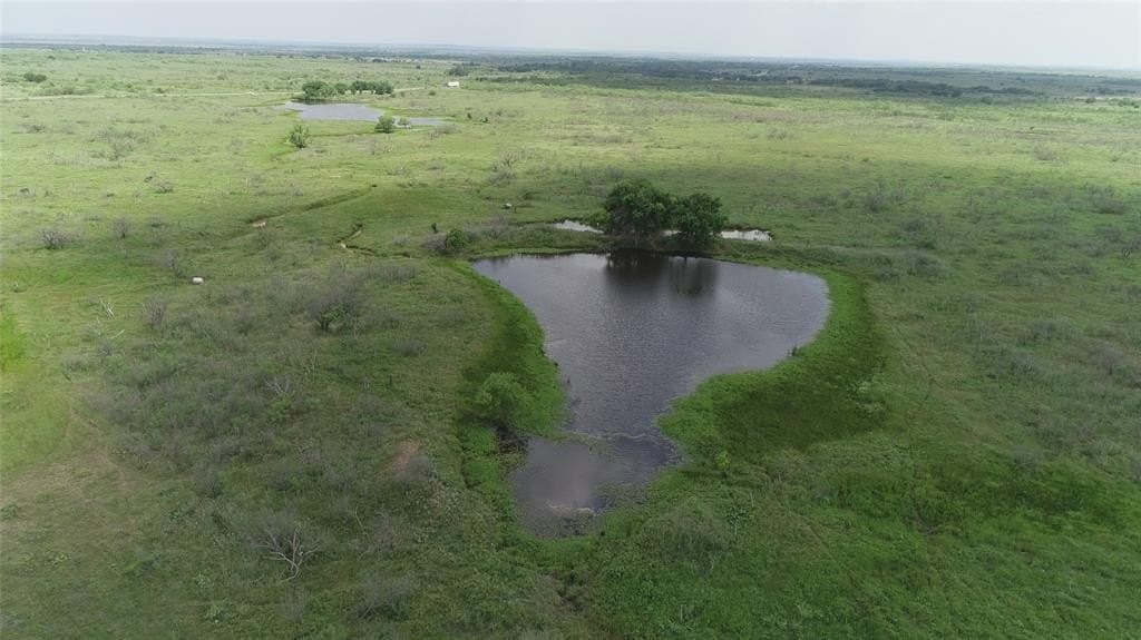 56 acres in Montague County gallery image 4