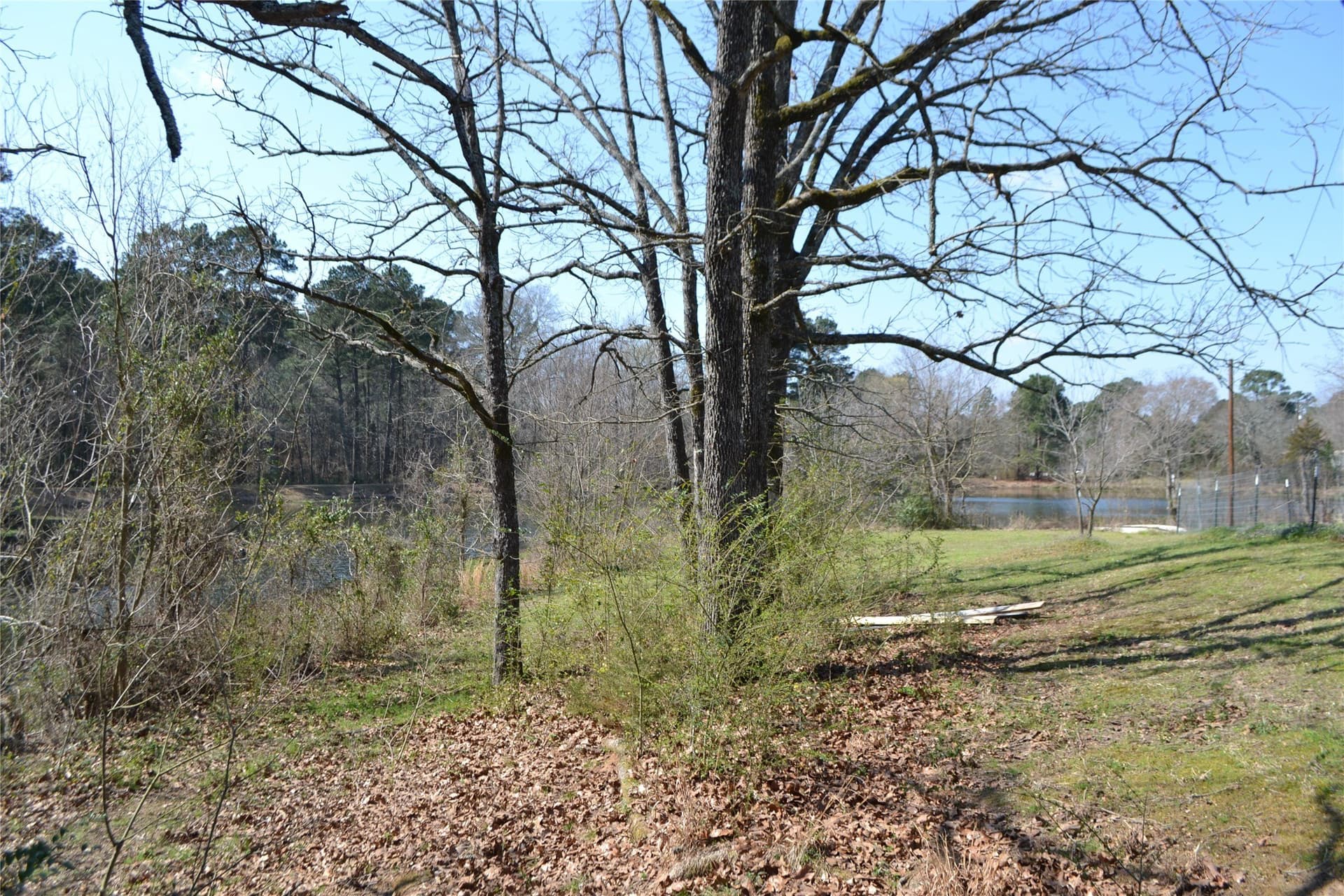 0.48 acres in Wood County - photo 10