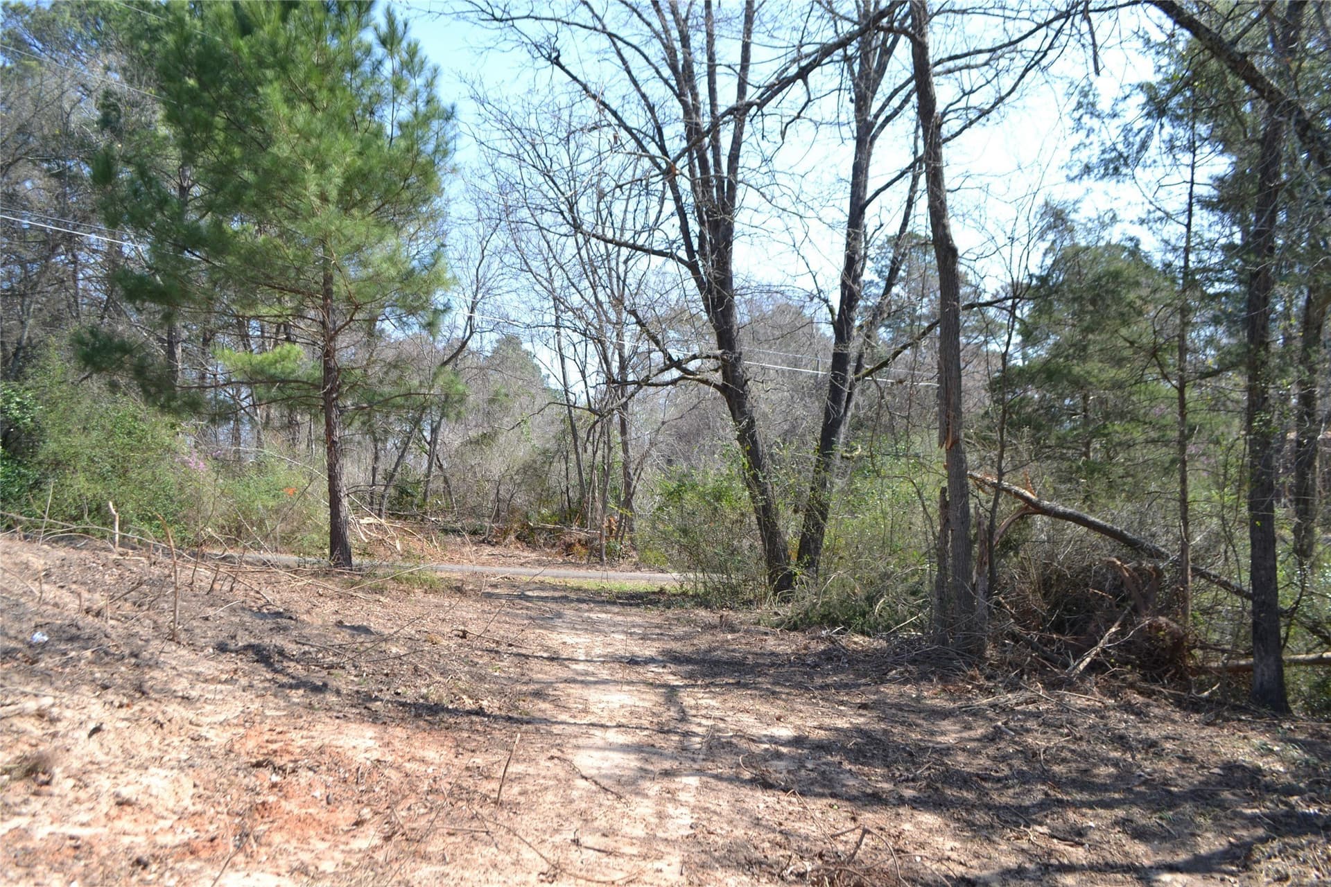 0.48 acres in Wood County - photo 8