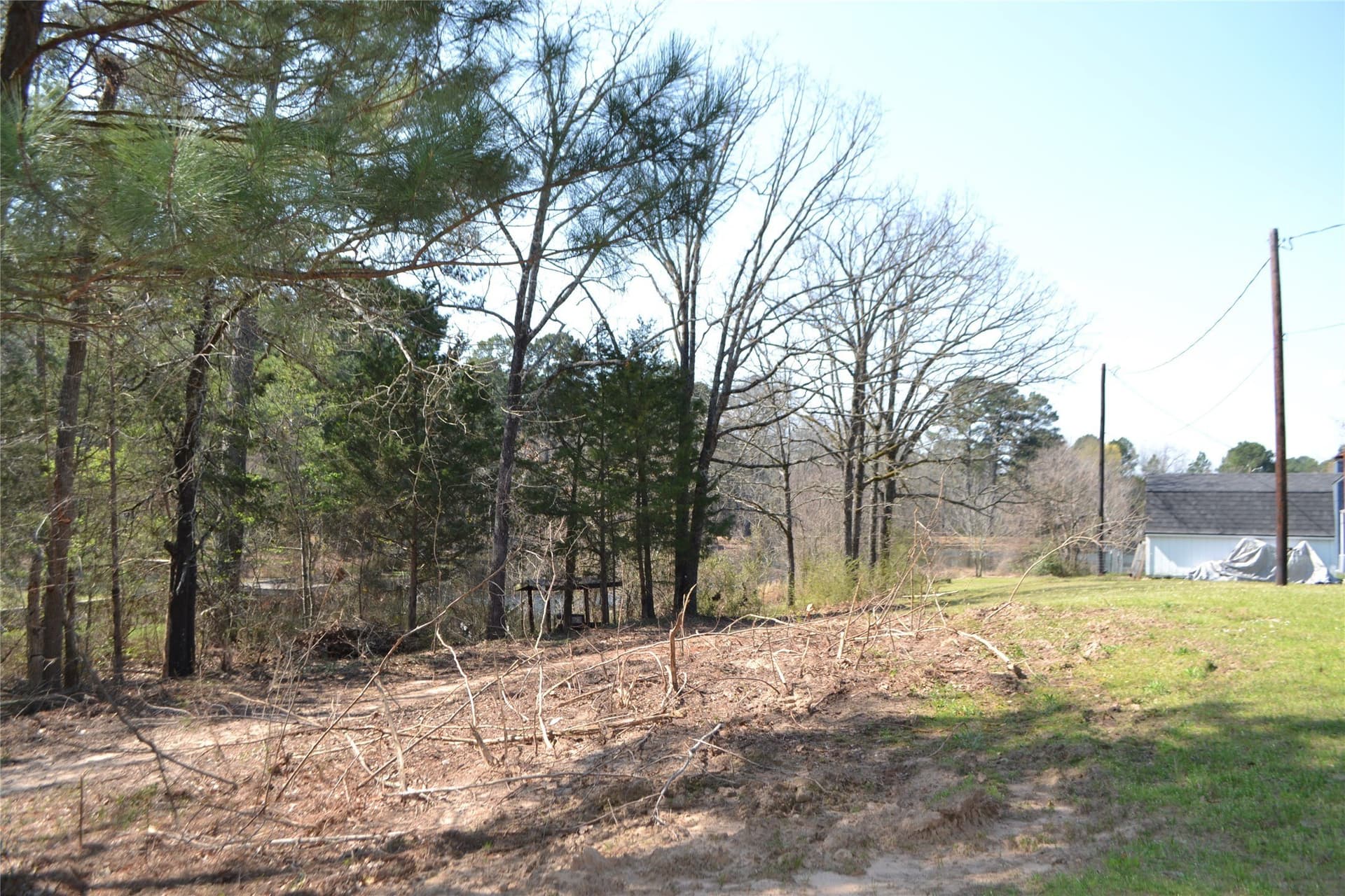 0.48 acres in Wood County - photo 6