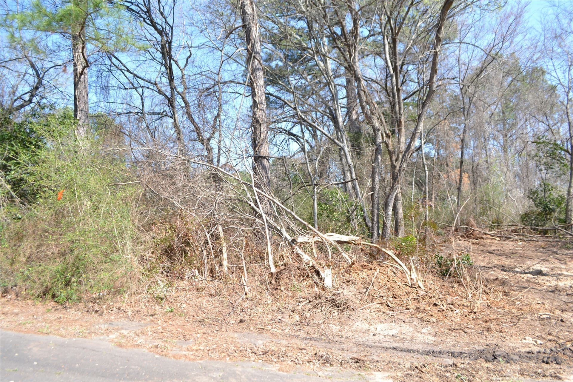 0.48 acres in Wood County - photo 16
