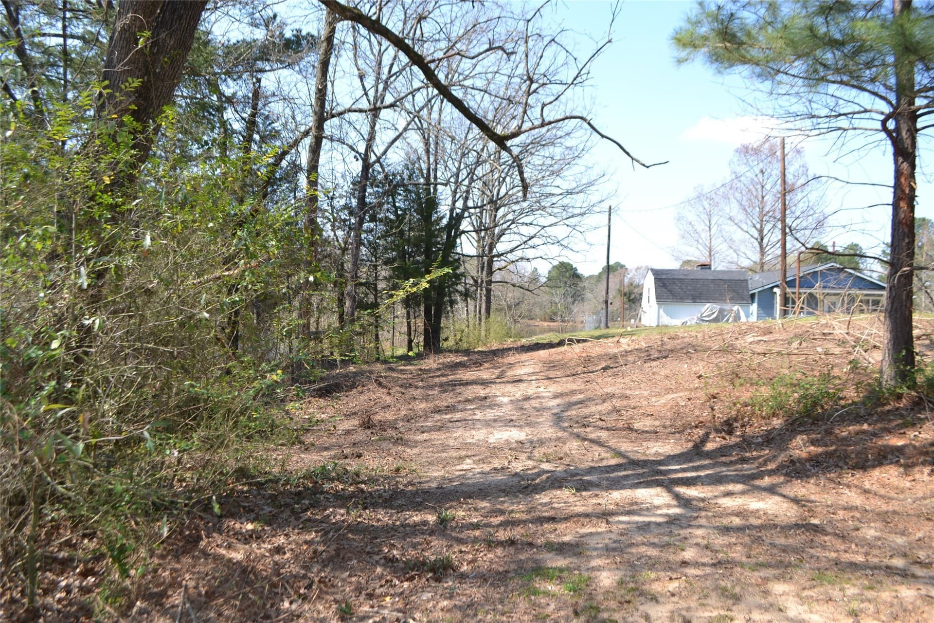 0.48 acres in Wood County - photo 15