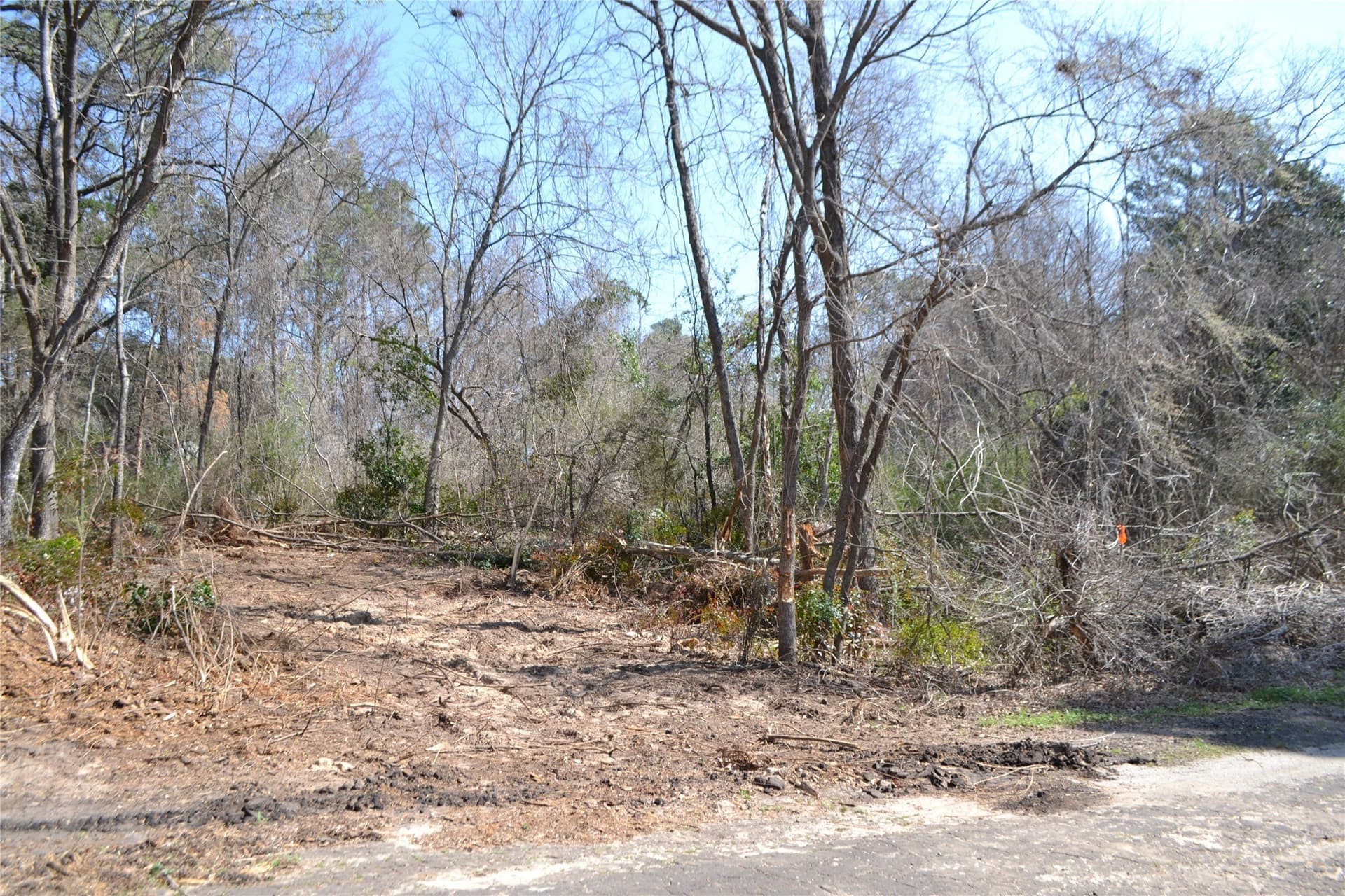 0.48 acres in Wood County - photo 17