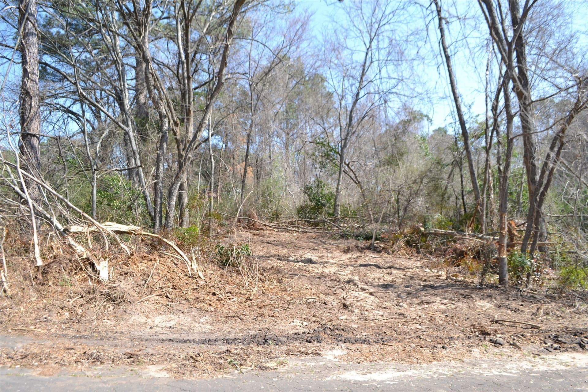 0.48 acres in Wood County - photo 18