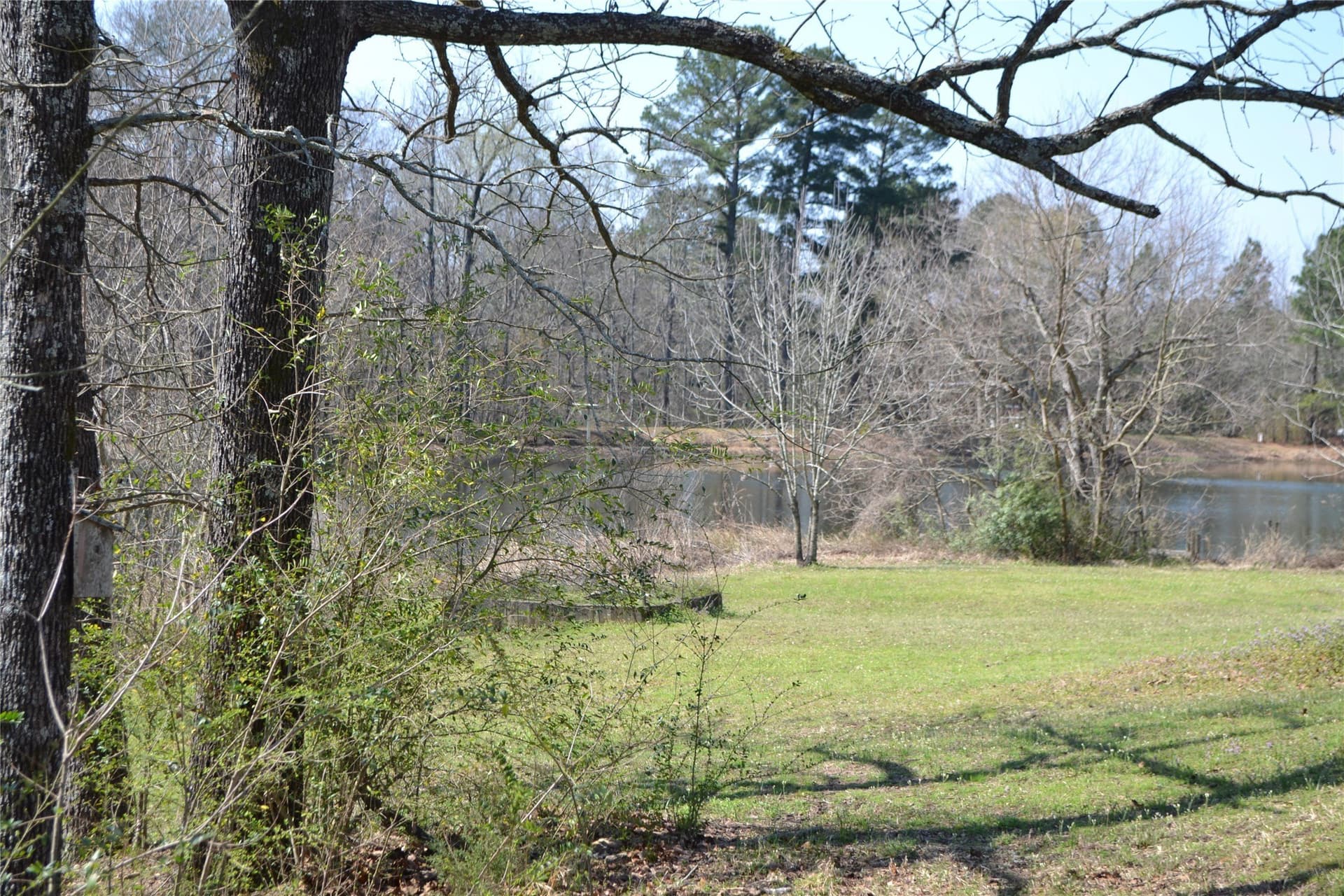 0.48 acres in Wood County - photo 5