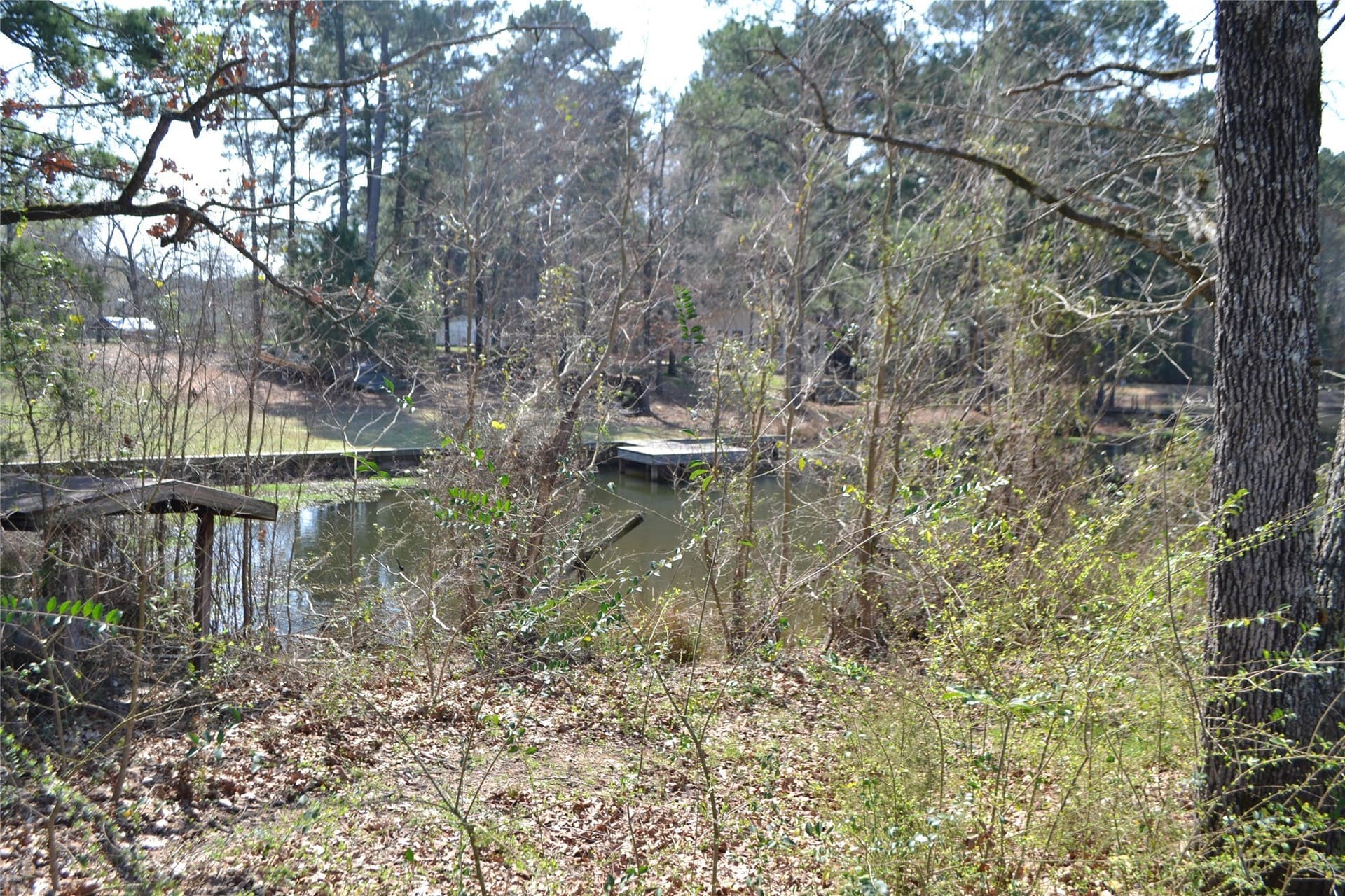 0.48 acres in Wood County - photo 4
