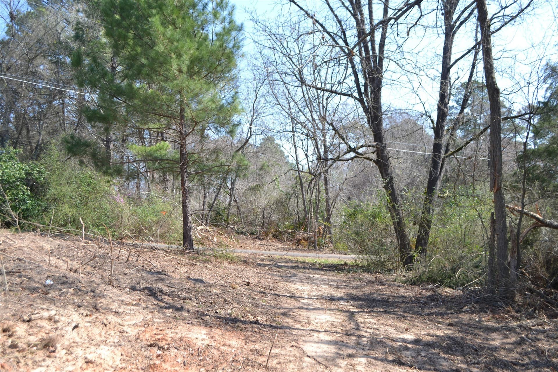 0.48 acres in Wood County - photo 9