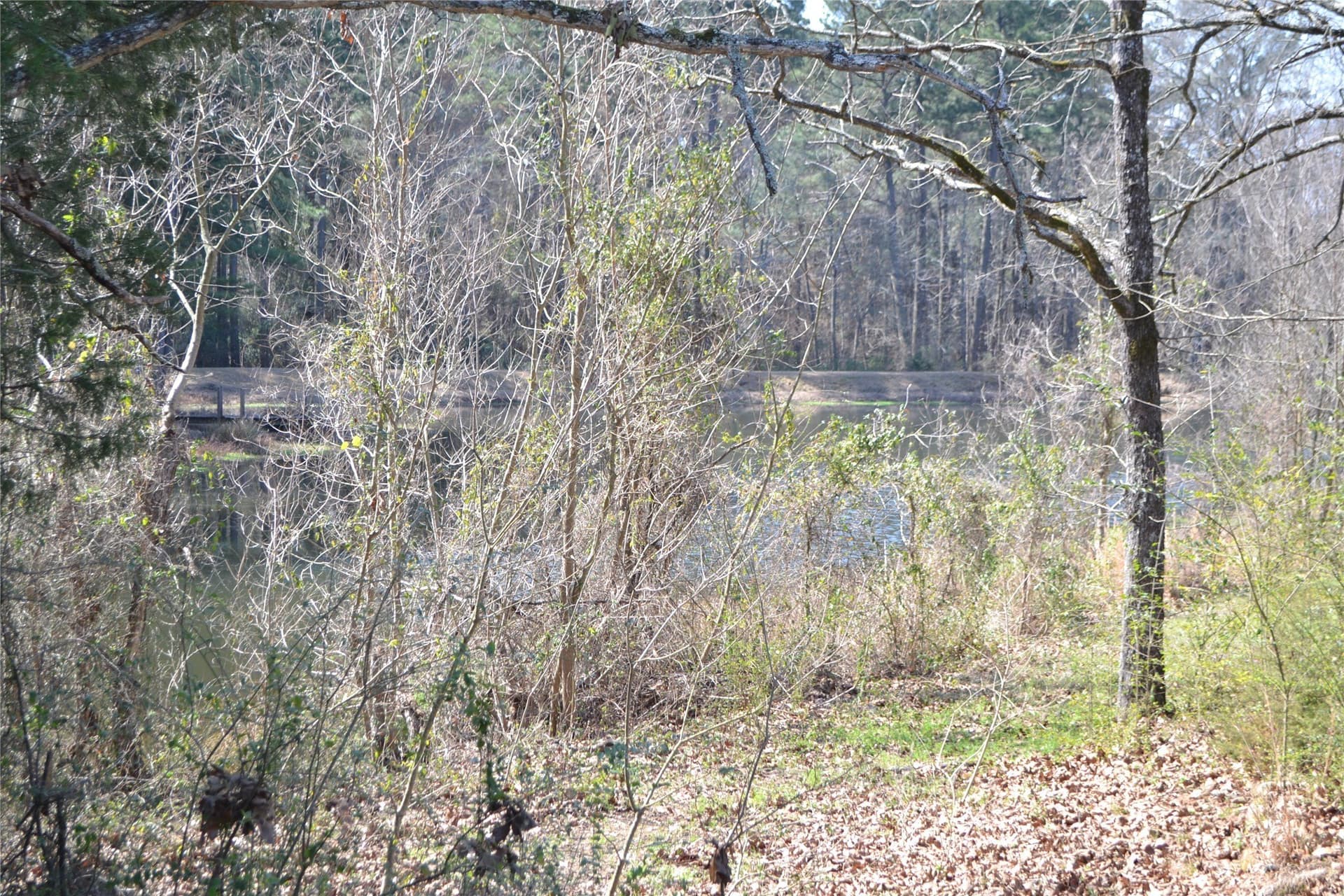0.48 acres in Wood County - photo 13