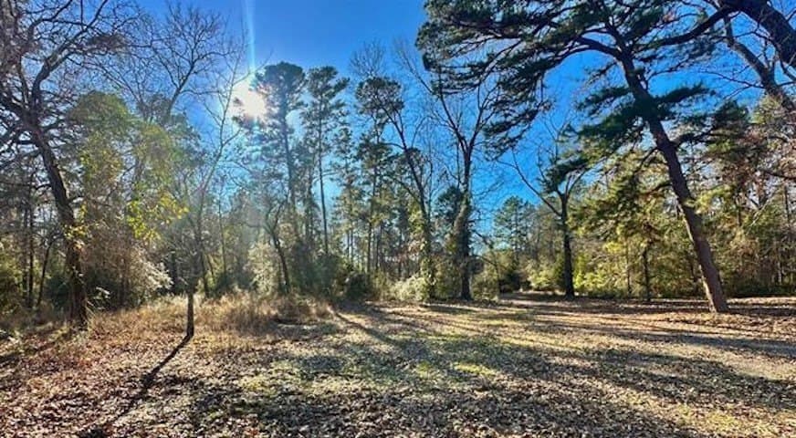 33.29 acres in Anderson County featured view