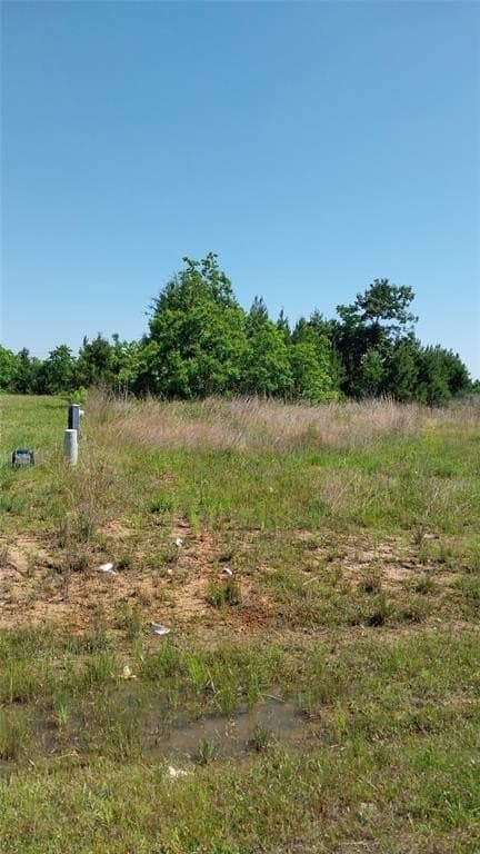 0.17 acres in Liberty County featured view